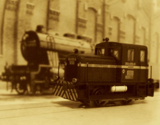 CIMG7682.JPG