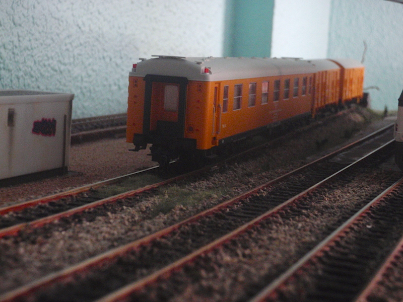 P9071482.JPG