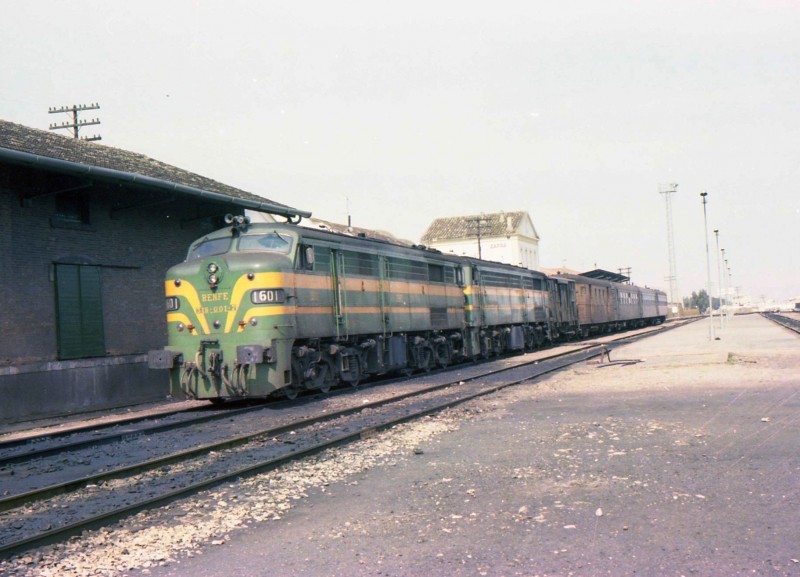 16435.jpg