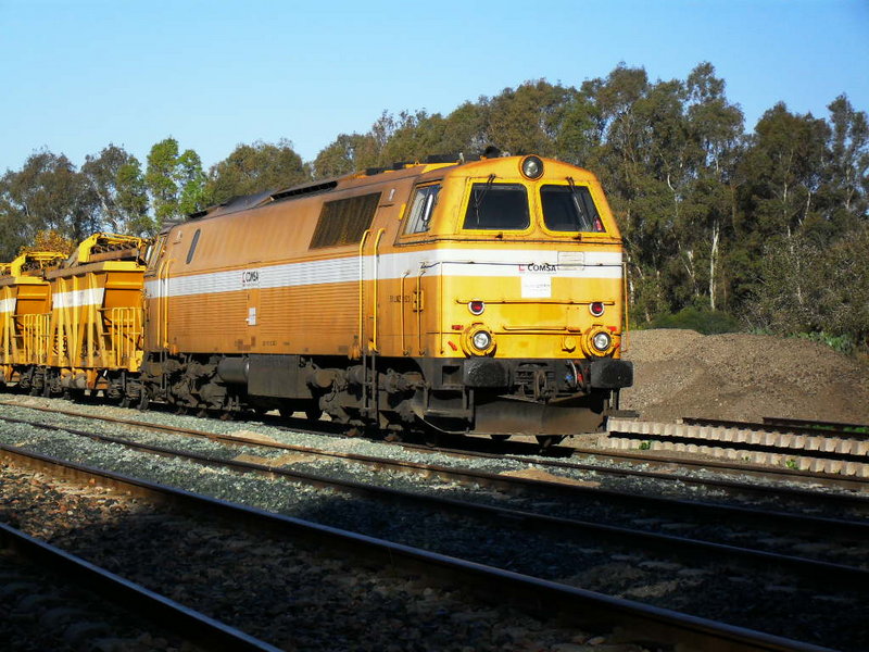 SDC15939.JPG