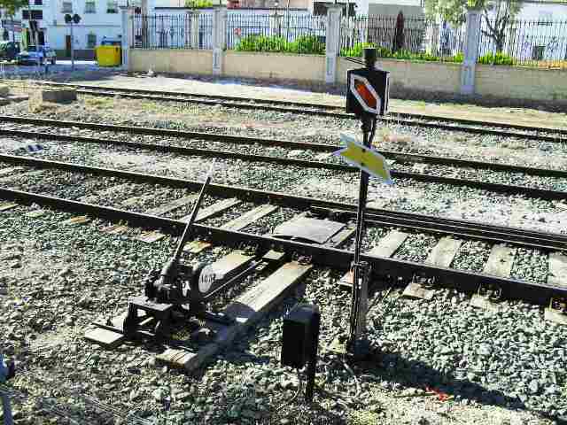 SDC16004.JPG
