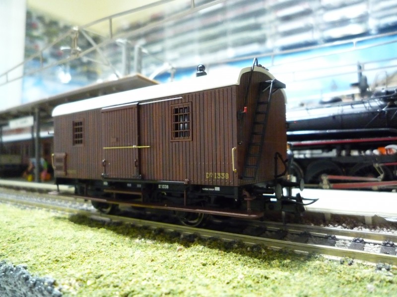 Dfv - 1338 (2).JPG