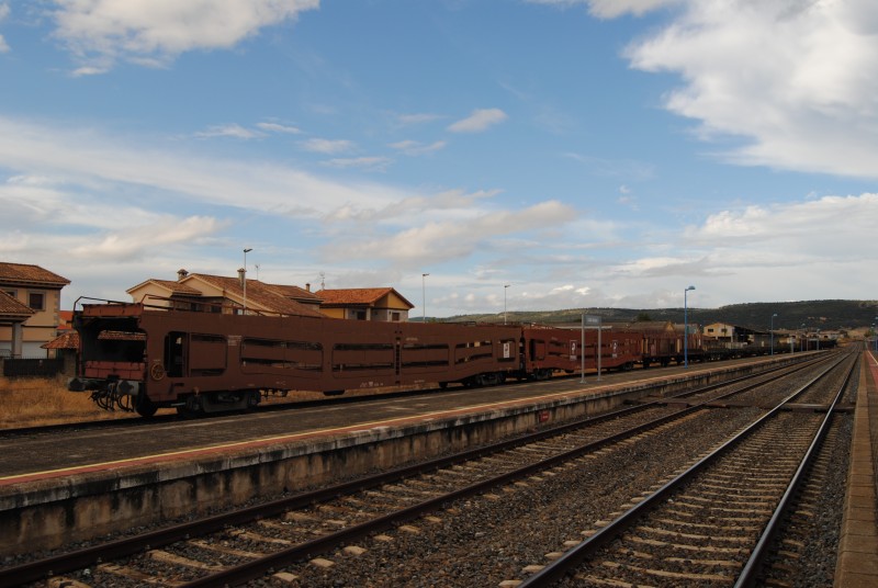 DSC_0356.JPG