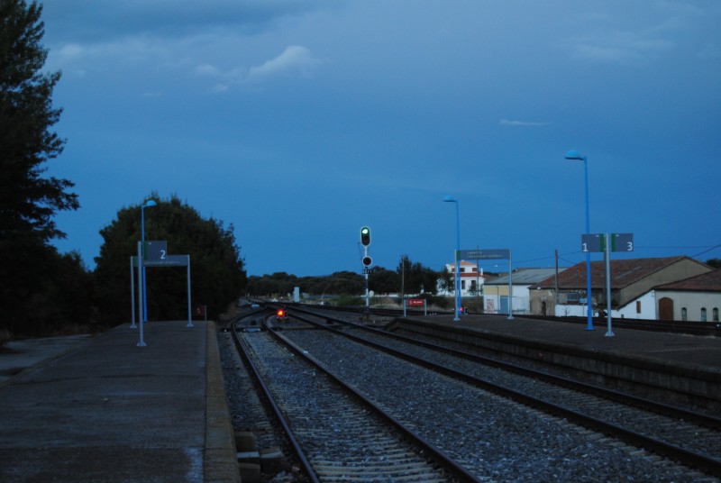 DSC_0371.JPG