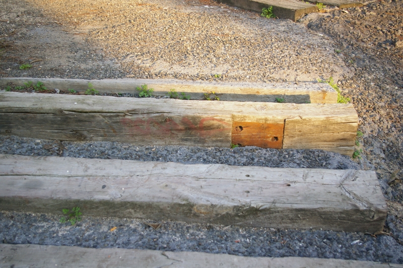 IMGP0284.JPG