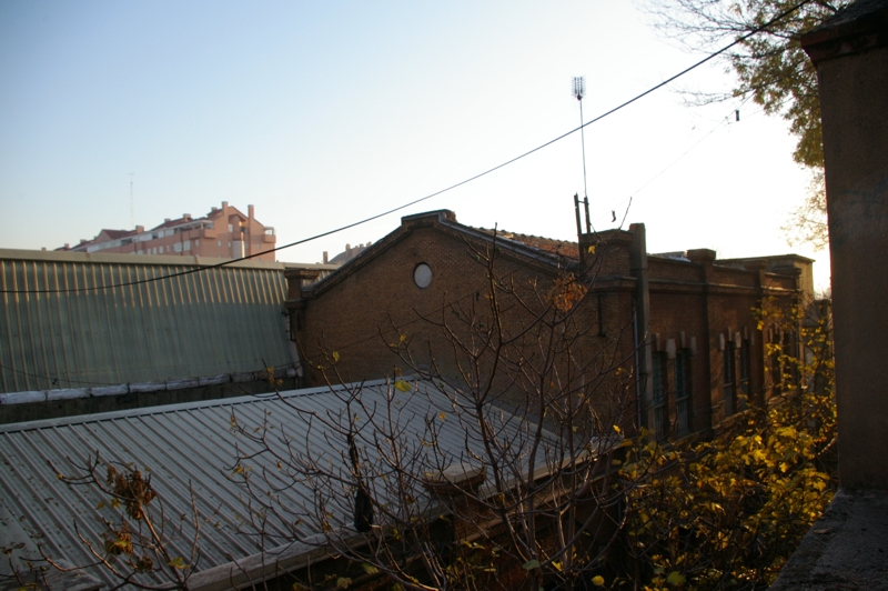 IMGP0290.JPG