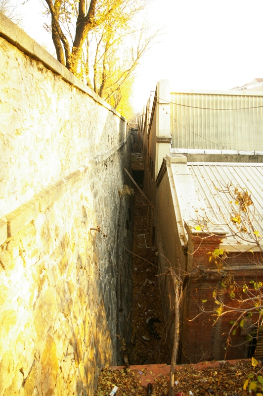 IMGP0287.JPG
