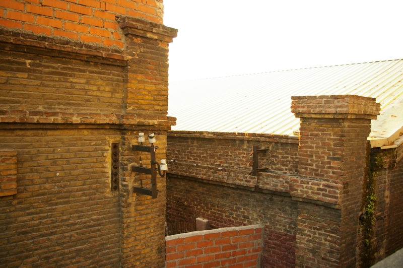 IMGP0295.JPG