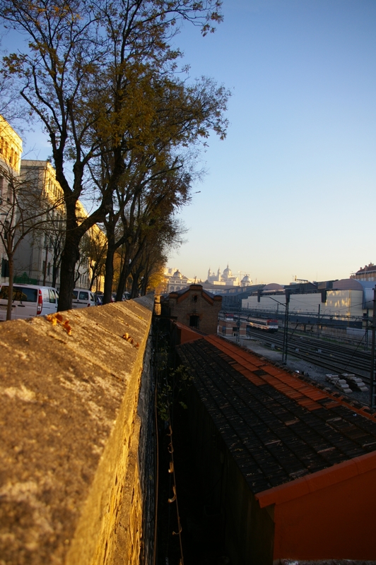 IMGP0299.JPG