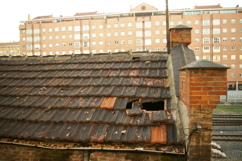 IMGP0307.JPG
