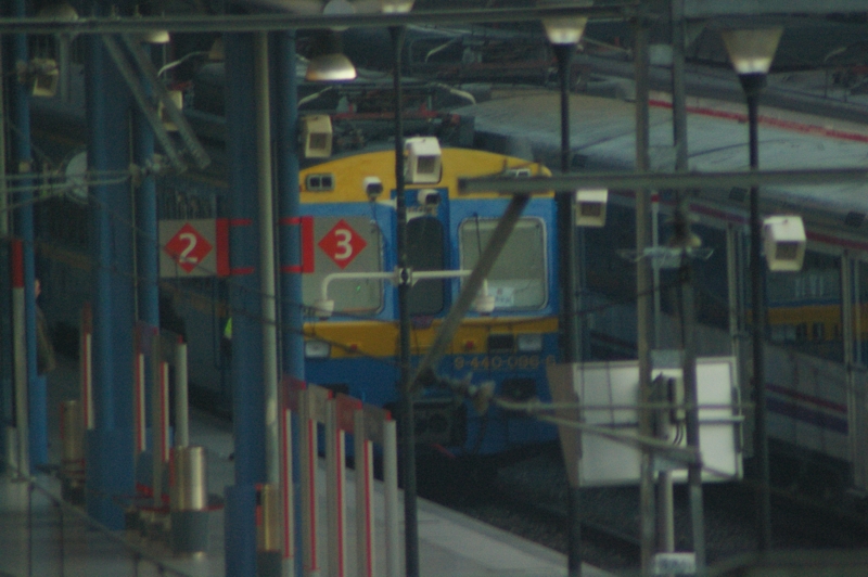 IMGP0310.JPG
