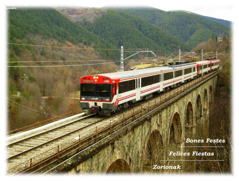 DSCN200257.jpg