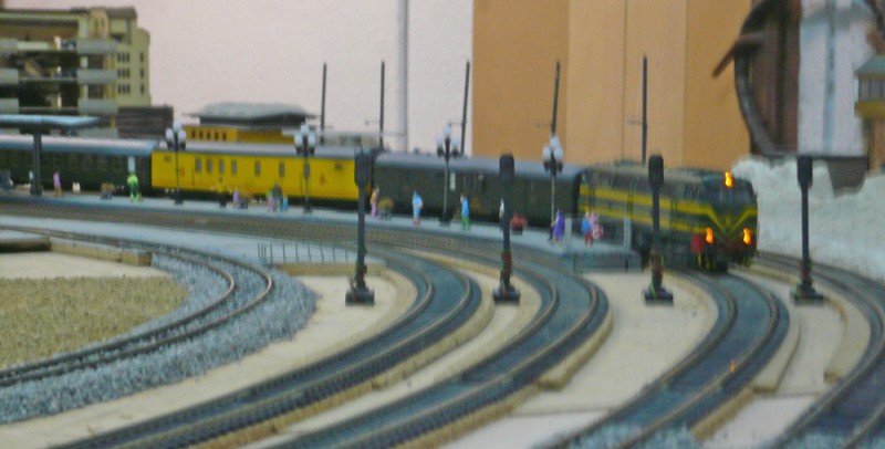 305.JPG