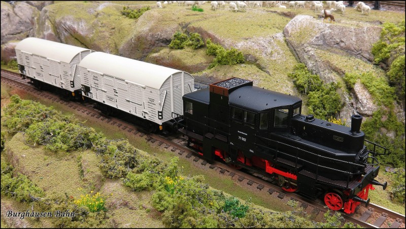 Märklin 48815 Milchwagen-set Epoche II_con Roco 63306 DRG 71 502.jpg