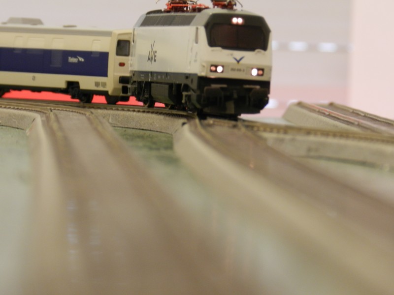 DSCN0214.JPG