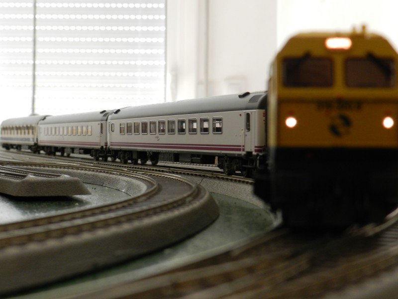 DSCN0281.JPG