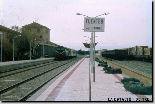 TRA00835.jpg