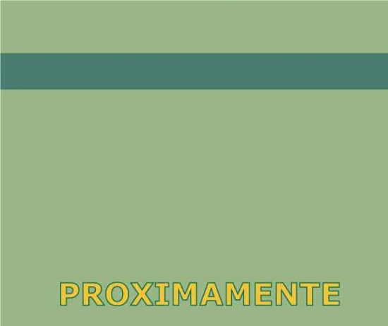 LIGHT-GREEN-w-STRIP_W.jpg