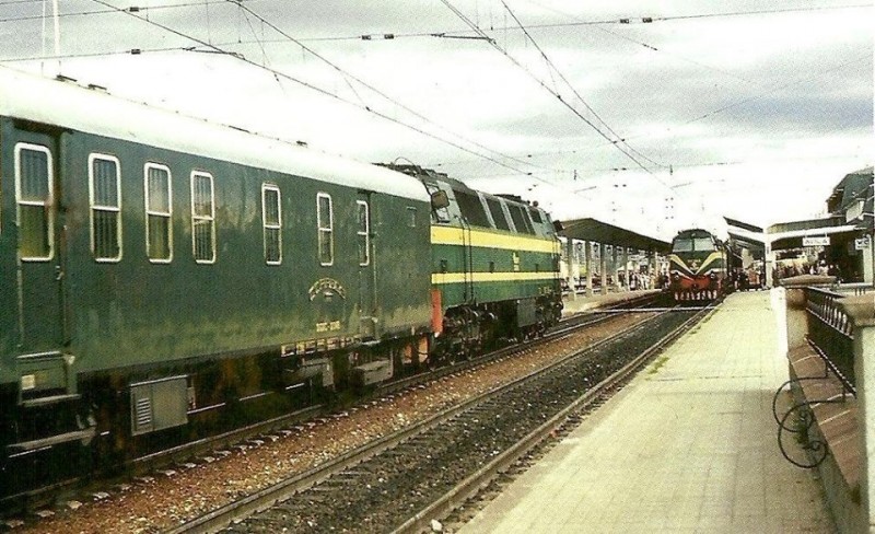 250.jpg