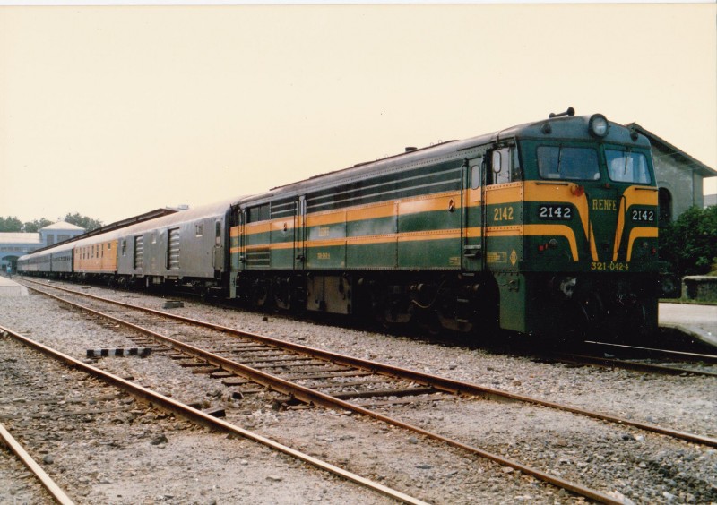 313.jpg