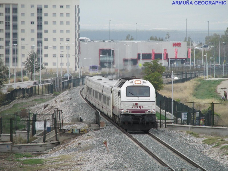 310.JPG