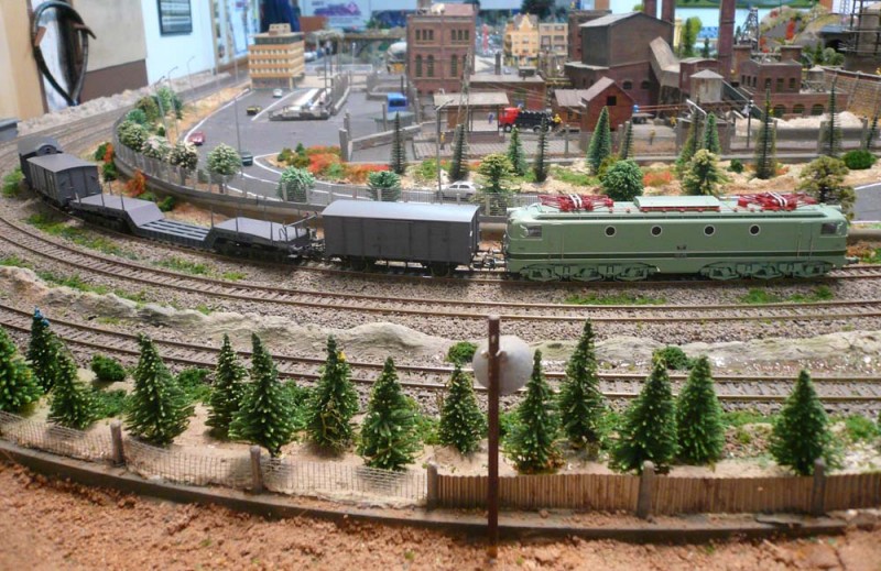 310.JPG