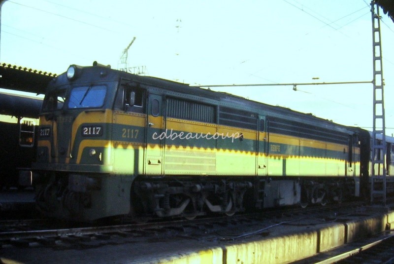 312.jpg