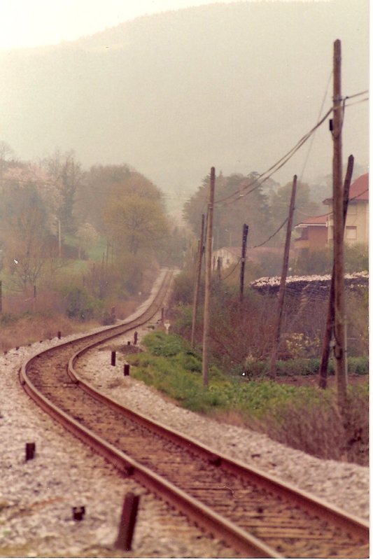 escanear0072.jpg