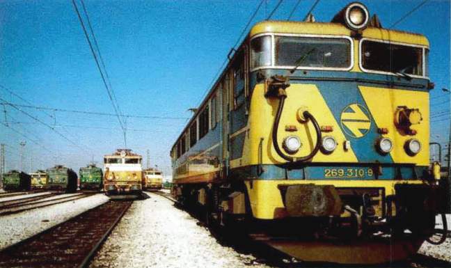 269.310 - .jpg