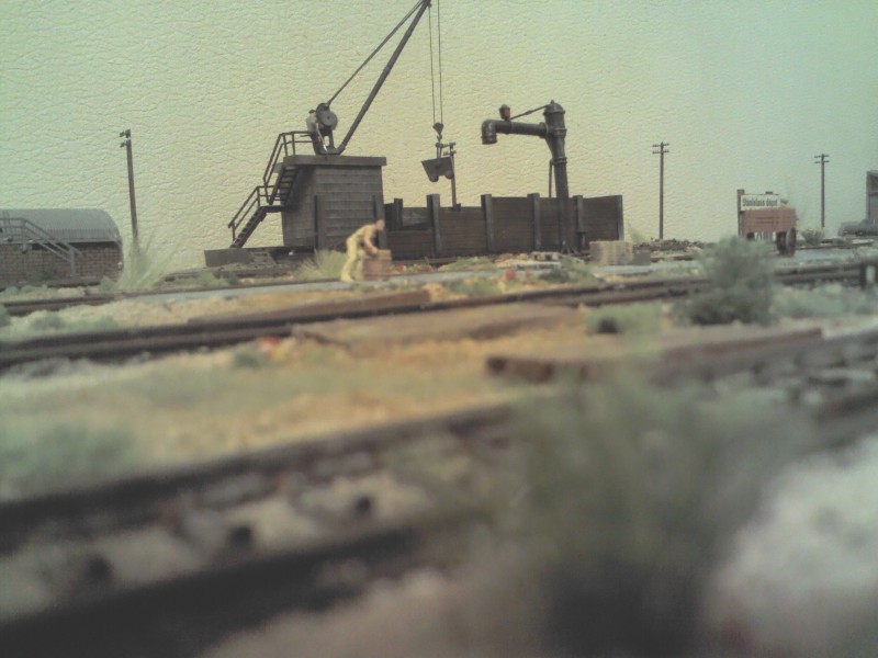 IMG3989.jpg