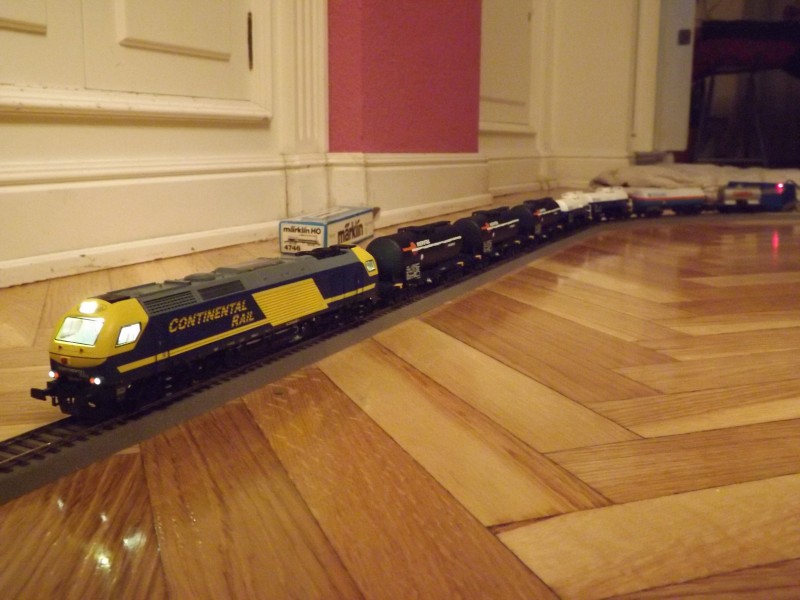 DSCF0491.jpg