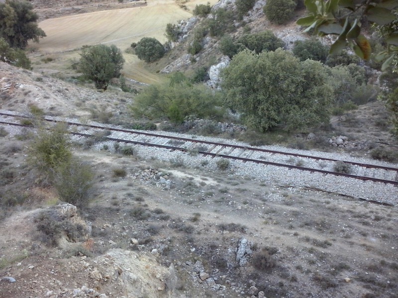 CAM00075.jpg