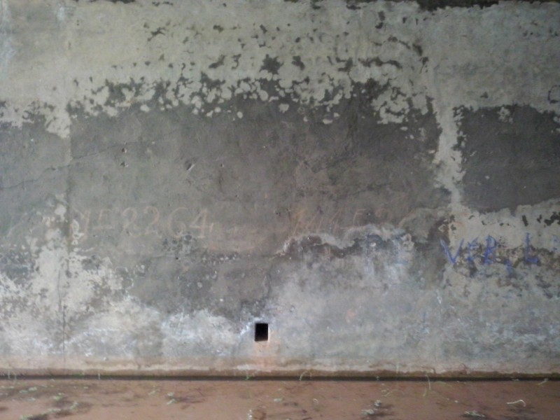CAM00057.jpg