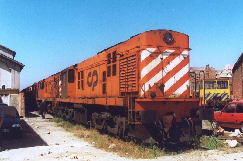 1331.jpg