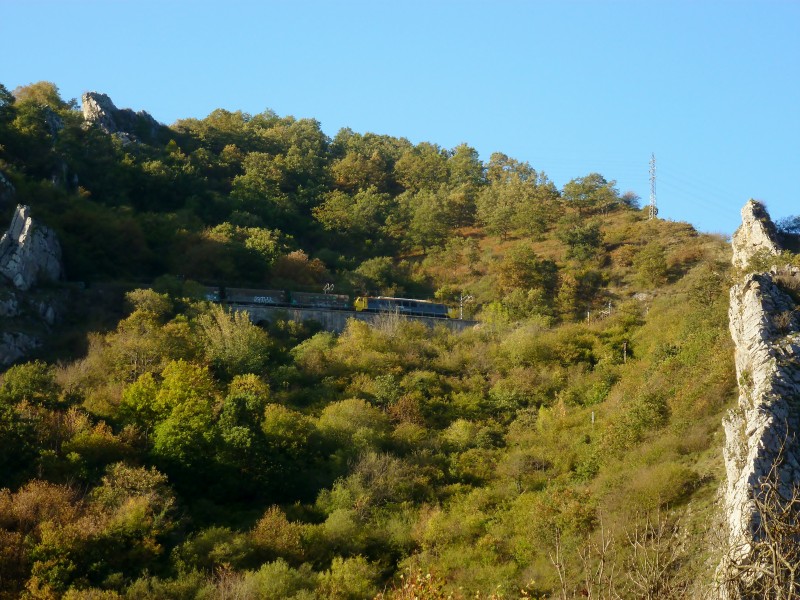 P1010971.JPG