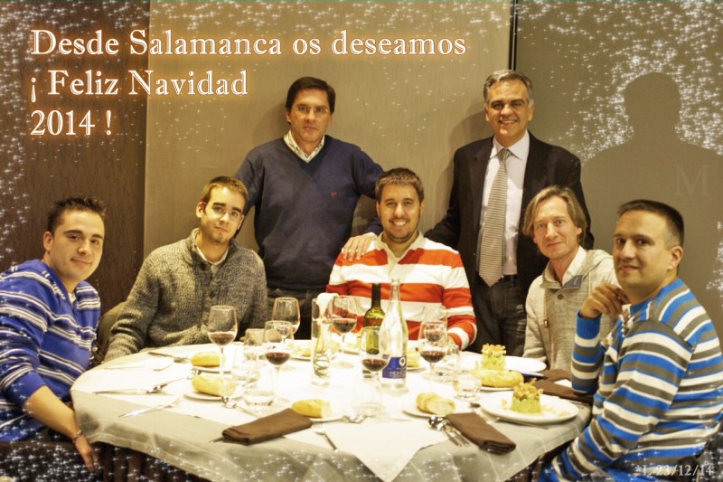 Navidad Salamanca 2014.jpg