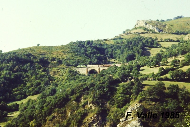 77XX (9) autor.jpg