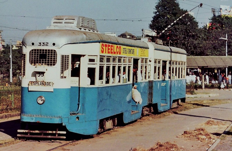 39.JPG