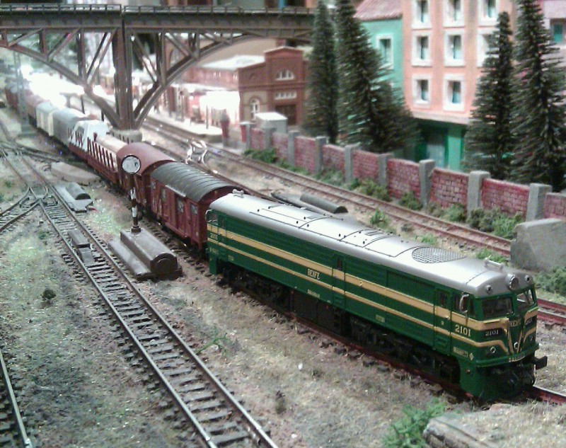 IMAG0435-1.jpg