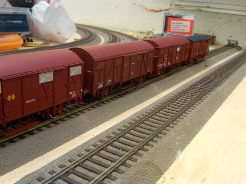 IMG00497-20091223-0057.jpg