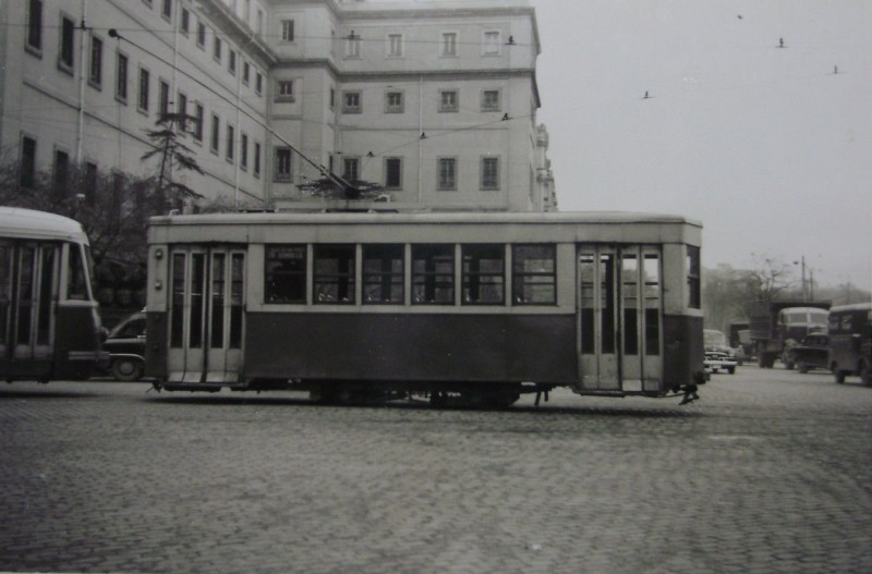 736.JPG