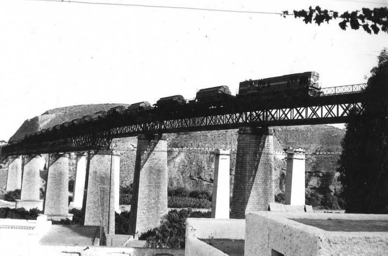 31781432.jpg