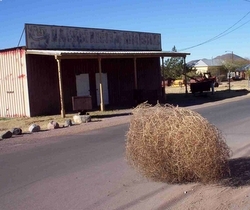 desierto-bola_dt7.jpg
