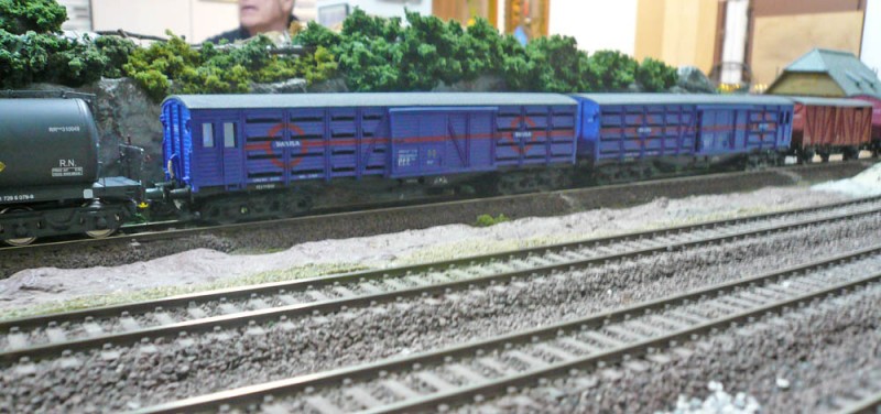 341.JPG