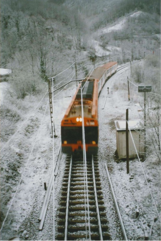 470.jpg