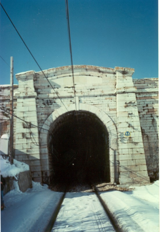 perruca.jpg