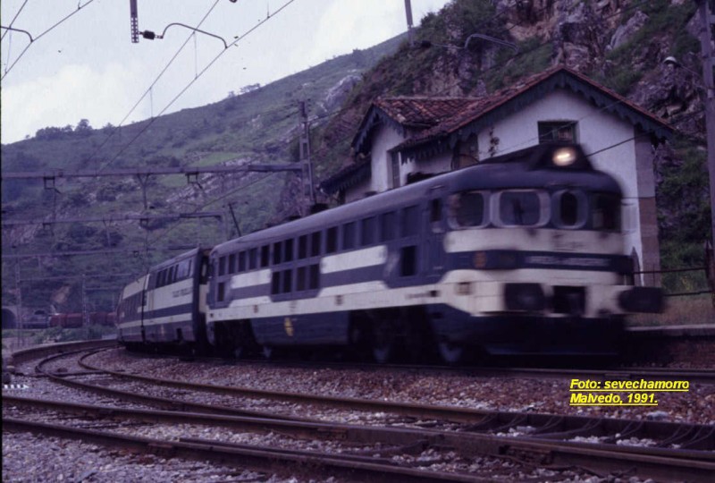 354Malvedo.jpg