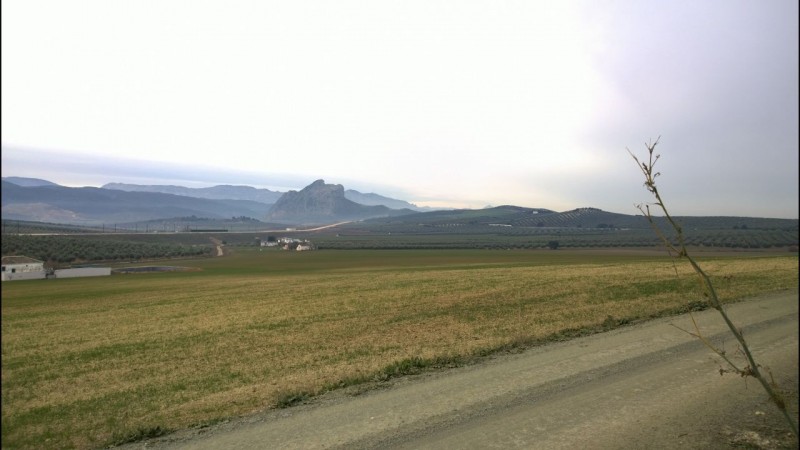IMG-20150114-WA0013.jpg