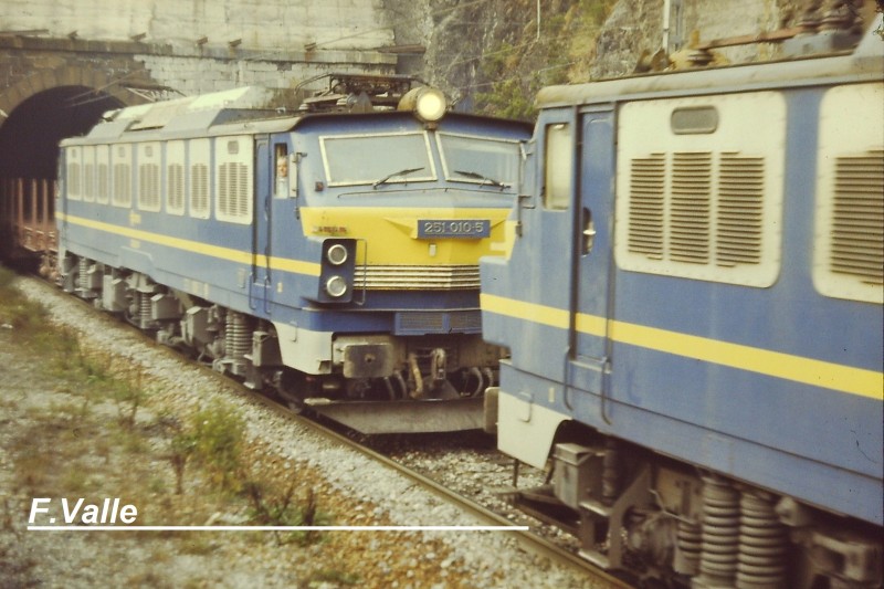 PICT0015.jpg