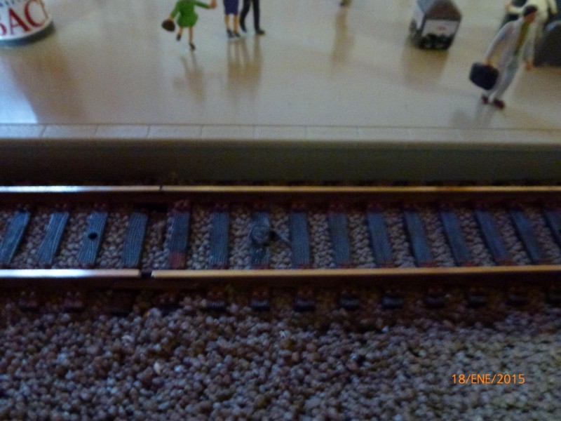 P1030050.JPG